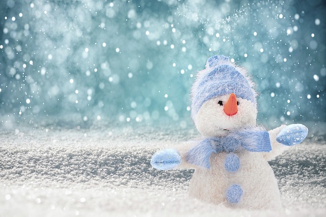 COUPON INVERNO