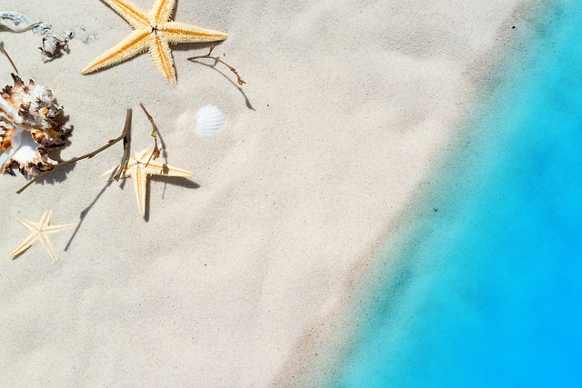 Nuovi solari Euphidra! Formule ecosostenibili per la salute dei mari e il benessere della pelle.