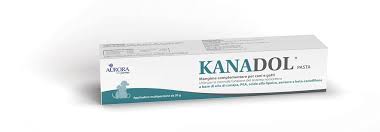 KANADOL PASTA 30 G - Speedyfarma.it