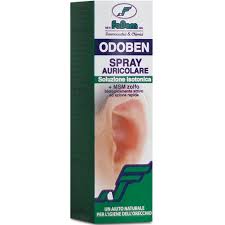 ODOBEN SPRAY AURICOLARE 100 ML - Speedyfarma.it