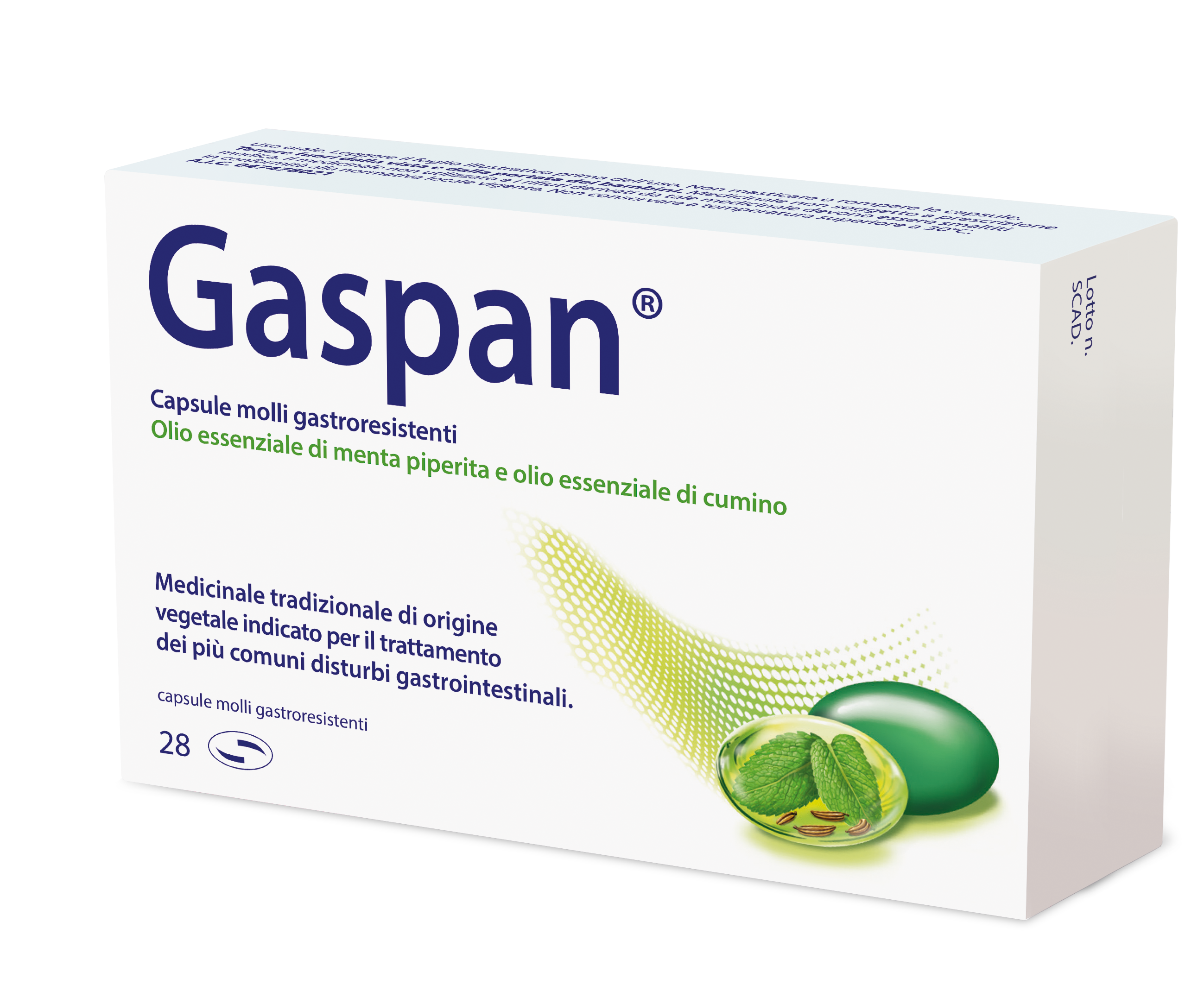 GASPAN*28CPS MOLLI GASTRORES - Speedyfarma.it