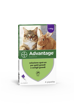 ADVANTAGE*4PIP 0,8ML SPOTON - Speedyfarma.it