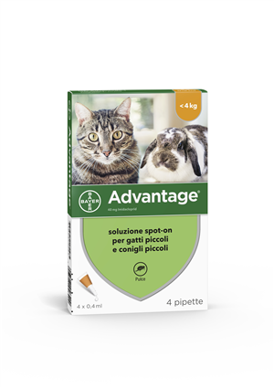 ADVANTAGE*4PIP 0,4ML SPOTON - Speedyfarma.it