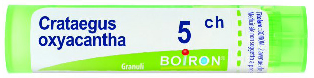CRATAEGUS OXYACANTHA 5CH GRANULI - Speedyfarma.it