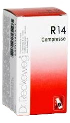 RECKEWEG R14 100 COMPRESSE - Speedyfarma.it