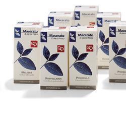 ECHINACEA 100ML TM - Speedyfarma.it