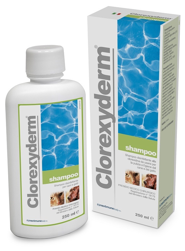 CLOREXYDERM SHAMPOO 250 ML - Speedyfarma.it