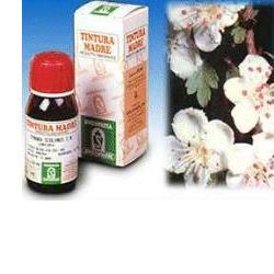 BIANCOSPINO 10 50ML TM - Speedyfarma.it
