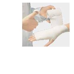 BENDA ELASTICA 10X500CM - Speedyfarma.it