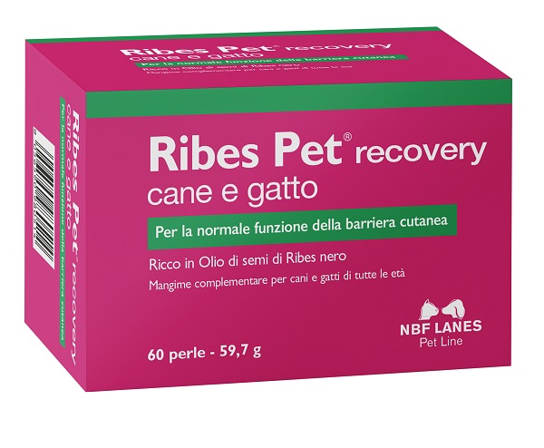 RIBES PET RECOVERY BLISTER 60 PERLE - Speedyfarma.it