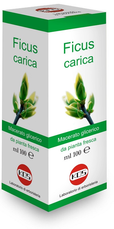 FICUS CARICA MG 100 ML GOCCE - Speedyfarma.it