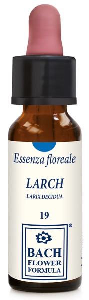 LARCH ORIGINAL GOCCE 10 ML - Speedyfarma.it