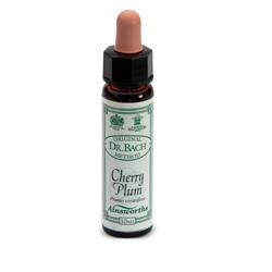 AINSWORTHS CHERRY PLUM 10ML - Speedyfarma.it
