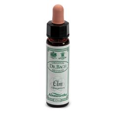 AINSWORTHS ELM 10ML - Speedyfarma.it