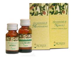 ROSMARINO OLIO ESSENZIALE 10 ML - Speedyfarma.it