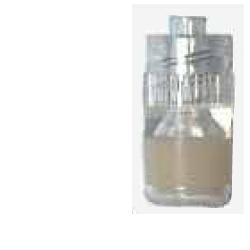 TAPPO STERILE PERFORATO LUER - Speedyfarma.it