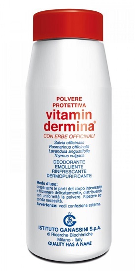 VITAMINDERMINA POLVERE PROT 100G - Speedyfarma.it