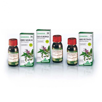 GEMMOSOL 46 TIGLIO ARGEN 50ML - Speedyfarma.it