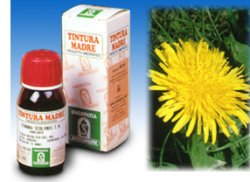 TARASSACO 28 50ML TM - Speedyfarma.it