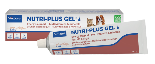 NUTRIPLUS GEL PASTA ORALE 120 G - Speedyfarma.it