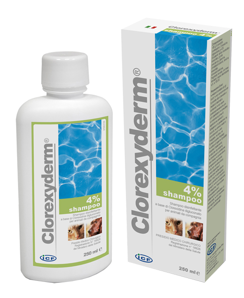 CLOREXYDERM SHAMPOO 4% 250 ML - Speedyfarma.it