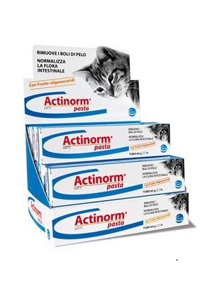 ACTINORM PASTA GATTI 65 G - Speedyfarma.it