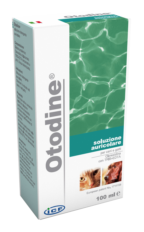 OTODINE DET LIQ 50ML - Speedyfarma.it