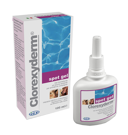 CLOREXYDERM SPOT GEL 100 ML - Speedyfarma.it