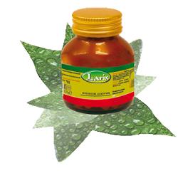 GLUCOMANNANO 60 CAPSULE - Speedyfarma.it