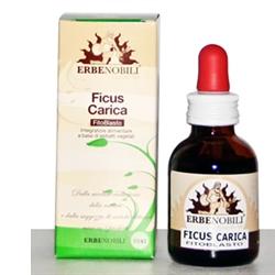 FITOBLASTO FICUS CARICA 50 ML - Speedyfarma.it