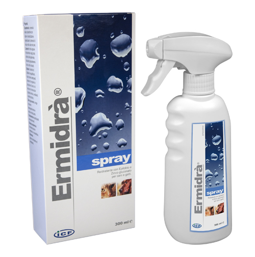 ERMIDRA' SPRAY 300 ML - Speedyfarma.it