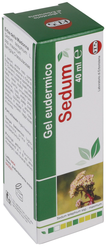SEDUM GEL EUDERMICO 40 ML - Speedyfarma.it