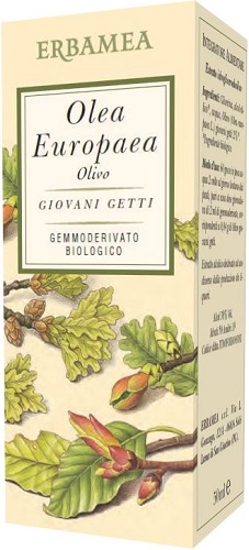 OLEA EUROPEA OLIVO BIO 50 ML - Speedyfarma.it