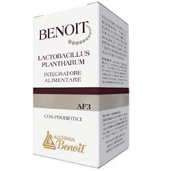 BENOIT LACTOBACILLUS PLANTHARUM 30 CAPSULE - Speedyfarma.it