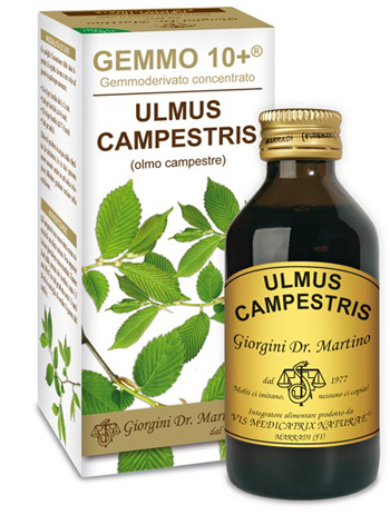 GEMMO 10+ OLMO CAMPESTRE 100 ML LIQUIDO ANALCOLICO - Speedyfarma.it