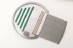 PETTINE ACCIAIO PER RIMOZIONE PIDOCCHI - Speedyfarma.it