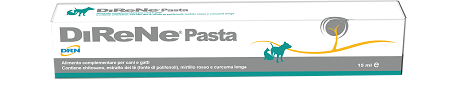 DIRENE PASTA 15 ML - Speedyfarma.it