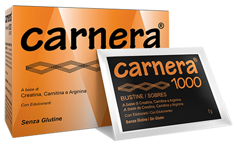 CARNERA 1000 18 BUSTINE - Speedyfarma.it