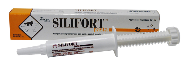 SILIFORT PASTA OS SIRINGA 15 G - Speedyfarma.it