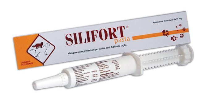 SILIFORT PASTA OS SIRINGA 30 G - Speedyfarma.it