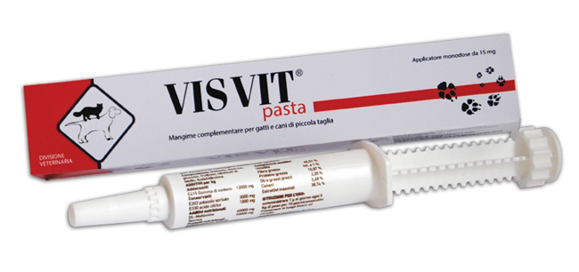 VISVIT PASTA OS SIRINGA 15 G - Speedyfarma.it