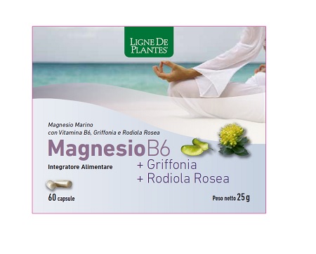 MAGNESIO B6 + GRIFFONIA + RODIOLA 60 CAPSULE - Speedyfarma.it