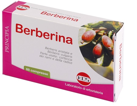 BERBERINA DA BERBERIS VULGARIS ESTRATTO SECCO 60 COMPRESSE - Speedyfarma.it