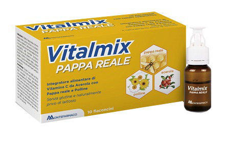 VITALMIX PAPPA REALE 10FLACONCINI X10 ML S/GL - Speedyfarma.it