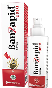 BANZAPID SPRAY TRATTAMENTO 100 ML - Speedyfarma.it