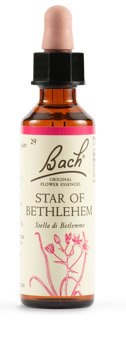 STAR OF BETHL ORIG 20 ML - Speedyfarma.it