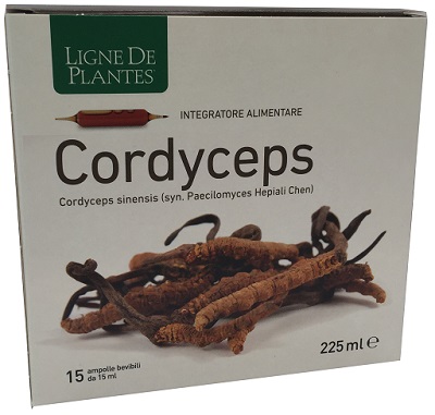 CORDYCEPS 15 AMPOLLE BEVIBILI DA 15 ML - Speedyfarma.it