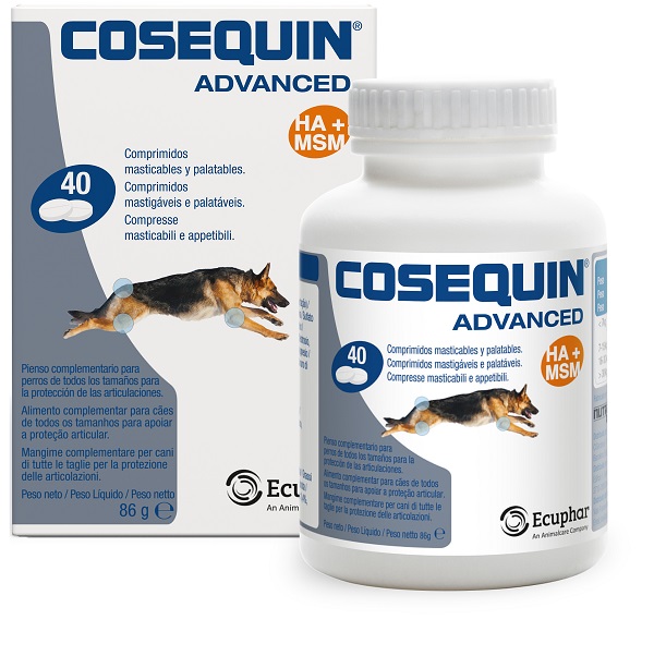 COSEQUIN GATTI 15 CAPSULE - Speedyfarma.it