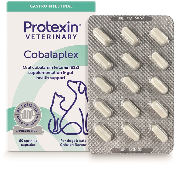 COBALAPLEX 60 CAPSULE - Speedyfarma.it