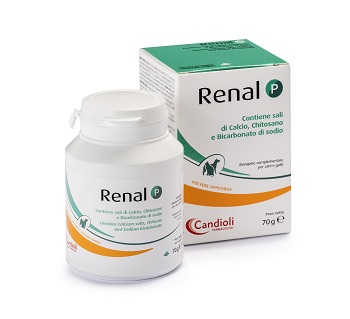 RENAL P MANGIME COMPLEMENTARE PER CANI E GATTI BARATTOLO 70 G - Speedyfarma.it